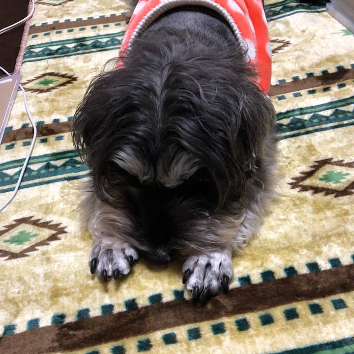 467bff44 62ed 4672 ad32 28f1f1a1bae2 1550753879871