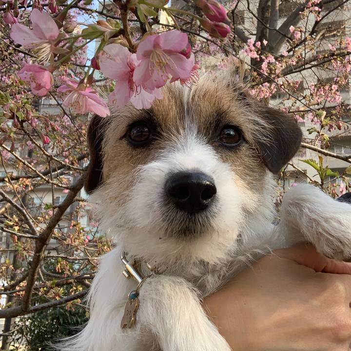 467c0a06 c715 46cc 945e b6d32b17dbfc 1772022556109