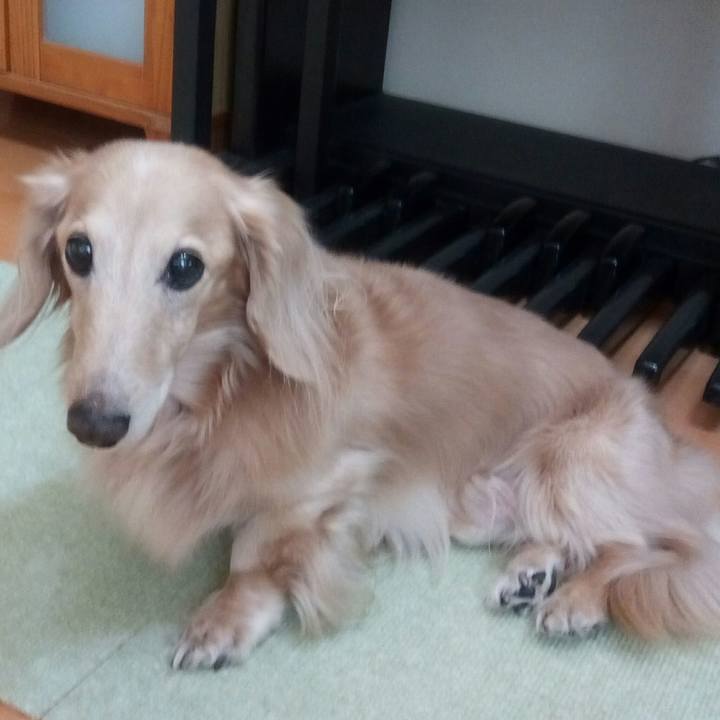 467c3e77 0606 43fb 9508 7f71679624a0 1543809387594