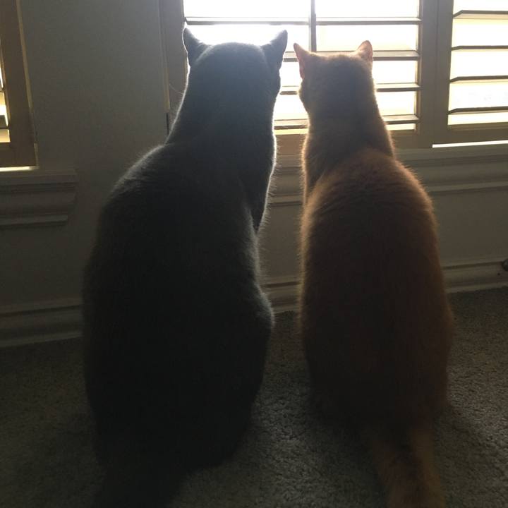 467c547e 8336 4483 8dd4 40af0fb605b2 1669492853249