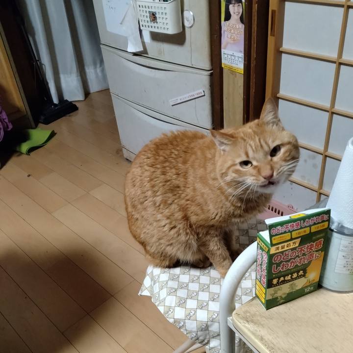 467c65f3 7970 4f18 bf84 80f5cb1a66b7 1703885788721