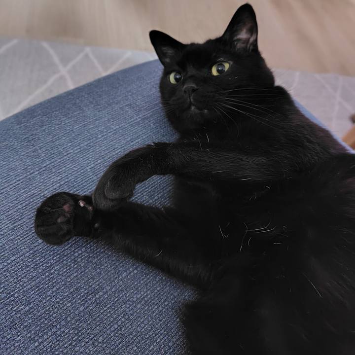 467c95aa db3a 4076 9481 ef08467592c4 1716118299739