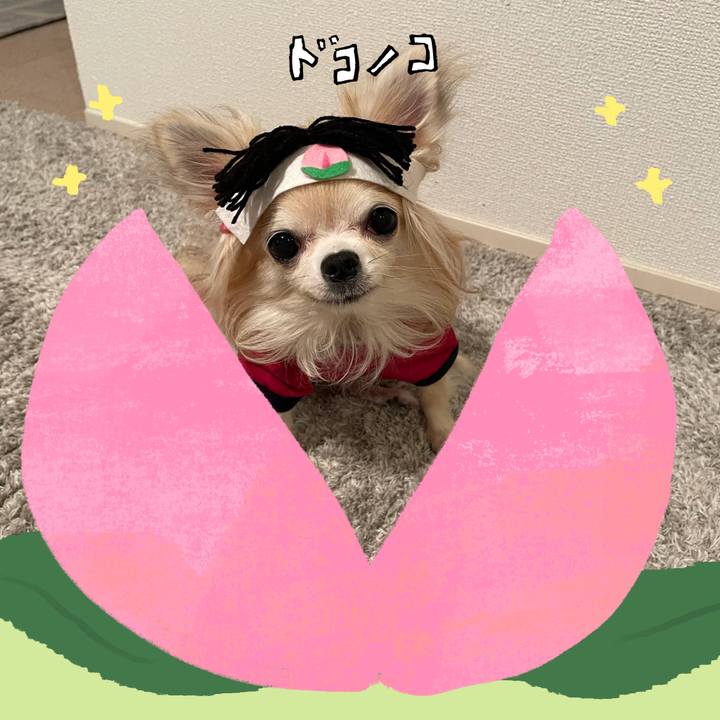 467ca0a9 a8f5 4ea4 ae6c 04a9234c05f9 1771849119515