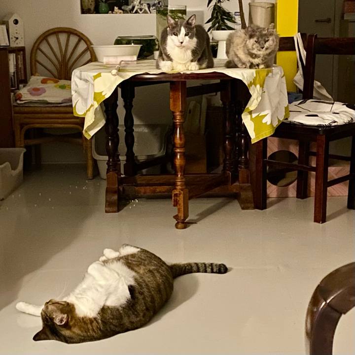 467cbf48 4b71 4242 89b1 60f99e969893 1756644014505