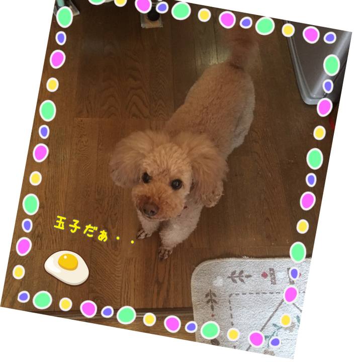 467d0569 2eac 4c4c b94c 57c9bac82d31 1529184167326