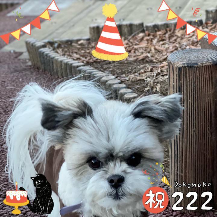 467d4e55 8782 4c62 96c5 5c89f9231050 1645509423376