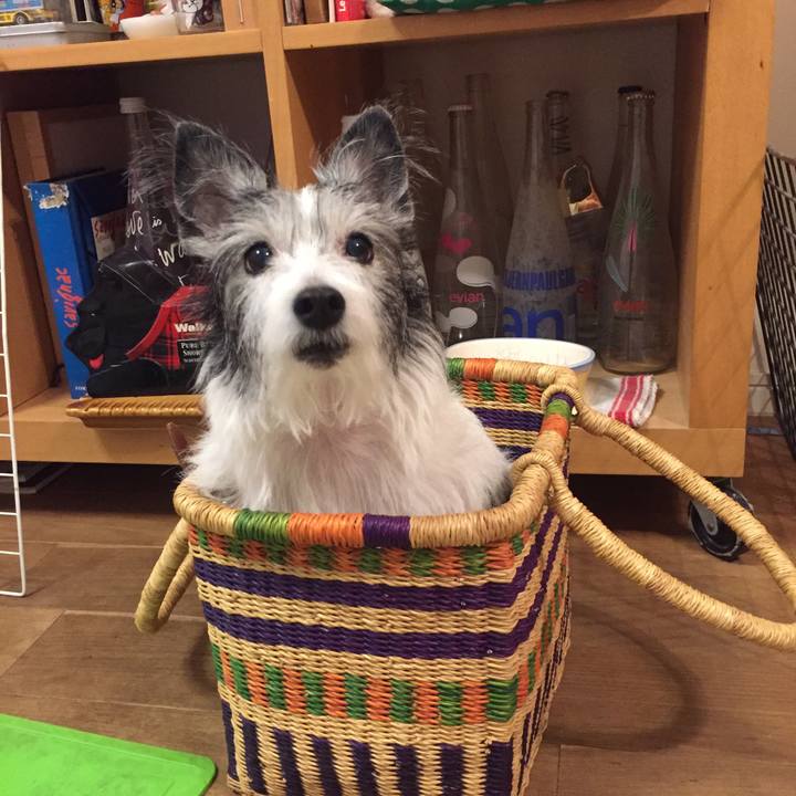 467d63ea 90db 4a67 a075 d25924829788 1541919344552