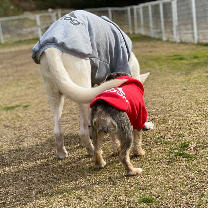 467d94f2 16f1 440e bbf8 5ec5b2d183eb 1580032778966