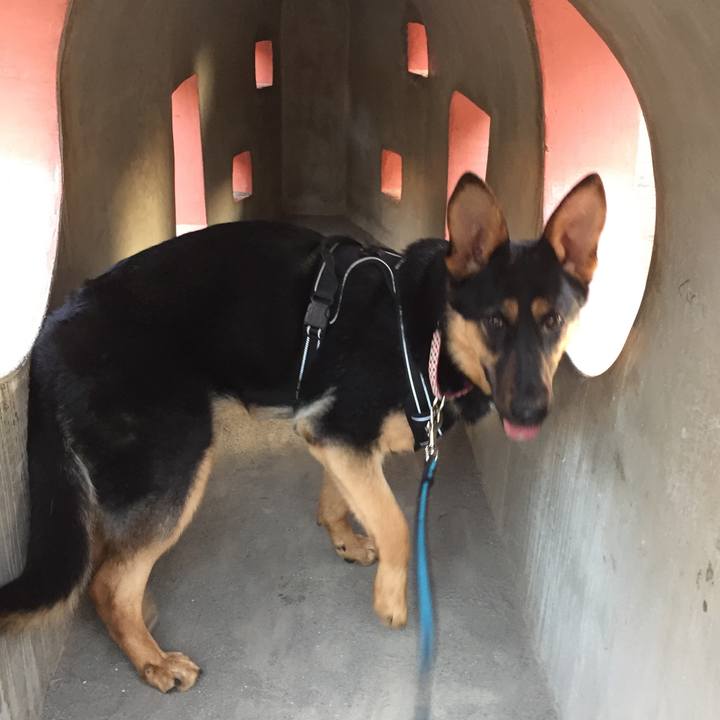 467d996f 8304 4406 9af7 0117b3265c53 1520117341239