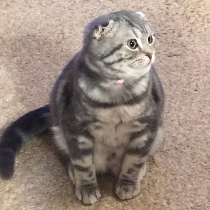 467d9a7d 49c0 47ff a294 1d3d1e01e2cb 1590224187047