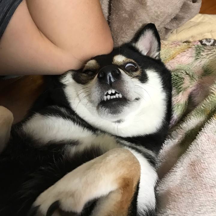 467dbbce 117c 40c8 8b75 78741e9a76eb 1539059687898