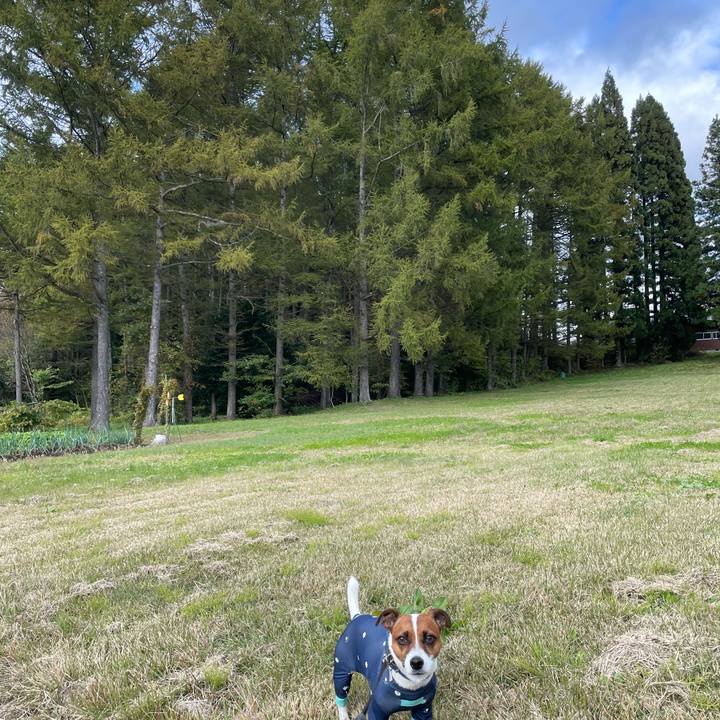 467dcd64 5a63 4818 af8b 8071ccf7997b 1634890395291