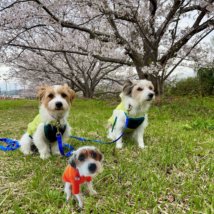 467dcf21 5467 49b3 b89e 7a088006acc1 1775306842505