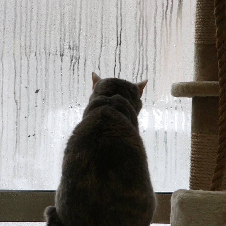 467dd310 97a0 4345 a500 0b1d31ae115a 1516845248446