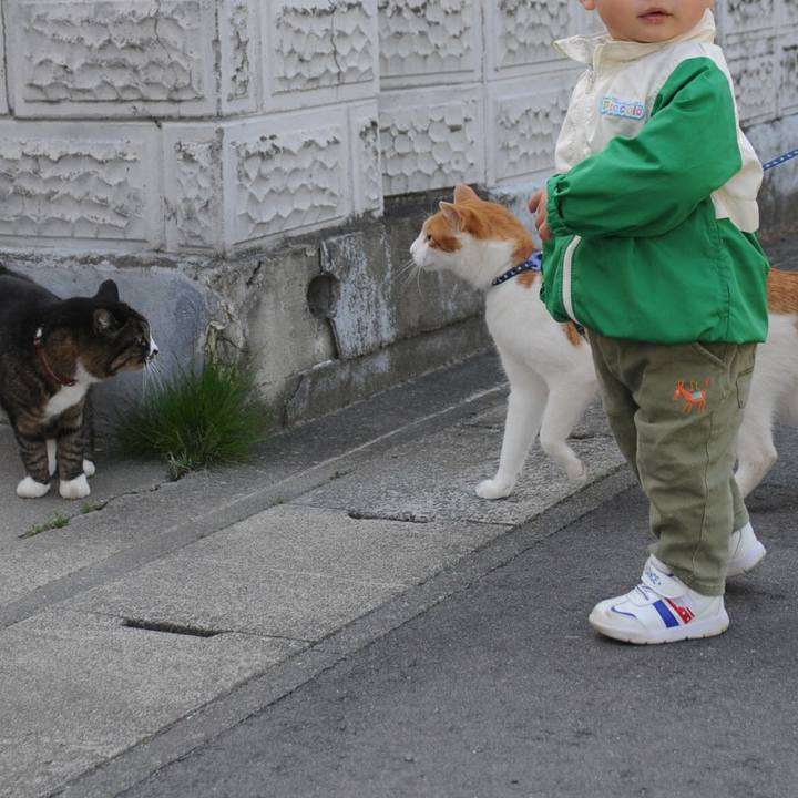 467dd606 1d00 4019 9e4c d67799db1ff9 1524901463531