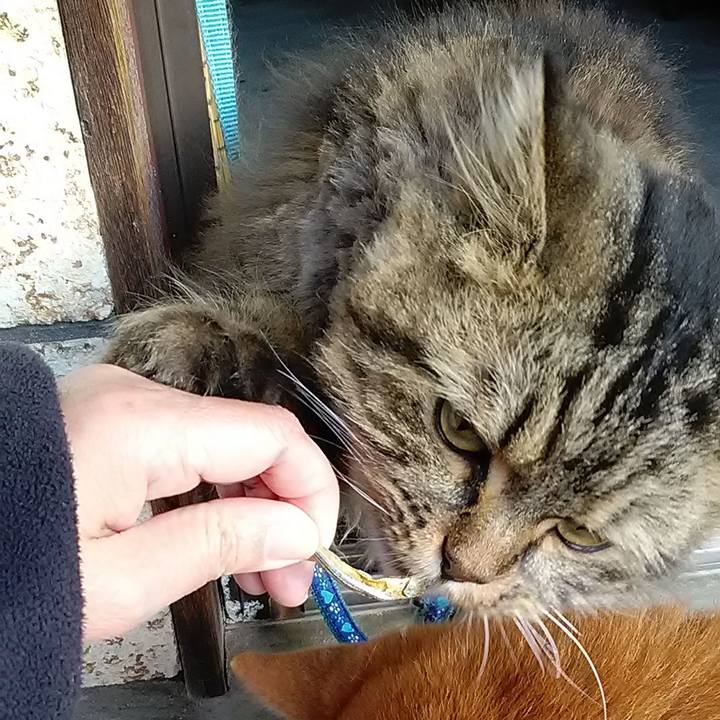 467df58b 6708 447f 8b1d 198646b1d86c 1616023444665