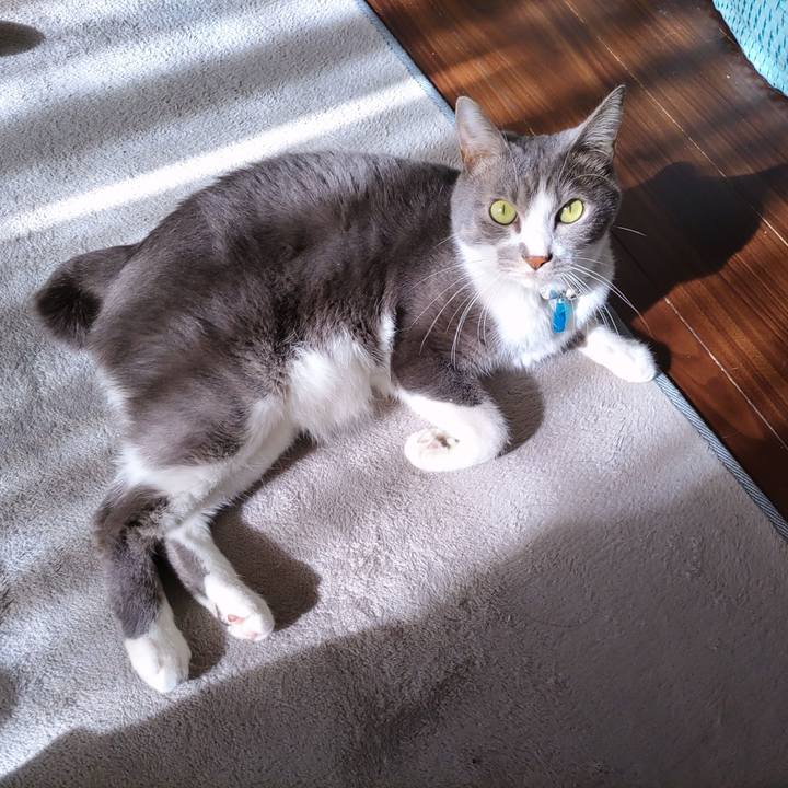 467e04fa 89ea 43cd 9dd5 9d587959c733 1701660189717