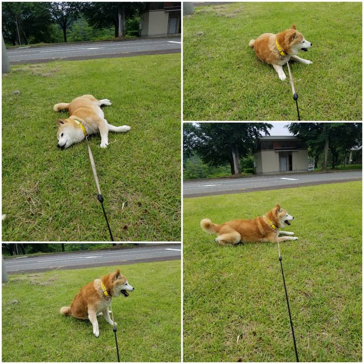 467e3fac 4b06 4250 9d0f 7c8ee4f22e3d 1686711861305