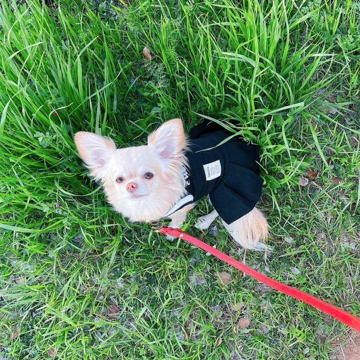 467ea3a5 77c3 470c bd51 c242d36129af 1649237894548