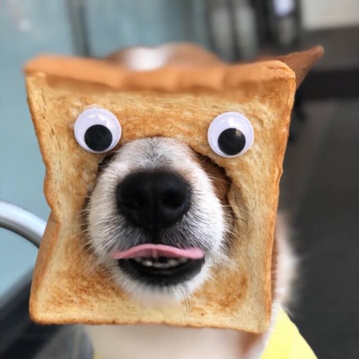 467ec483 0fe3 472a 8966 c121af4bf62e 1535030174507