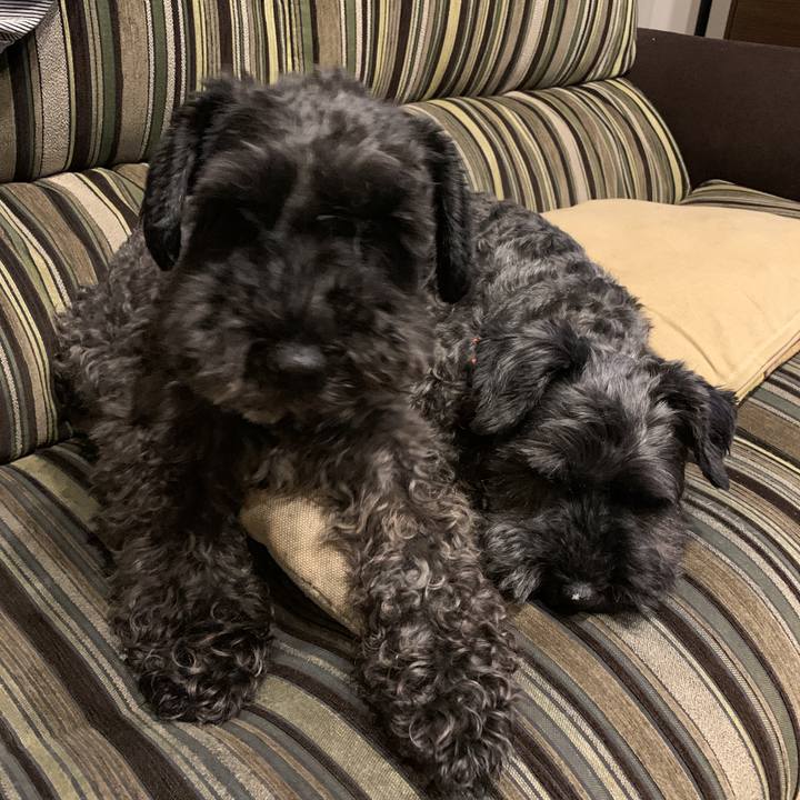 467ee2fb cec5 4f8f a89d c1a59e7773e5 1595062626868