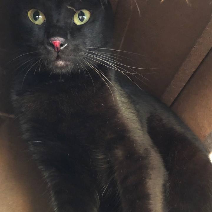 467ee539 94be 4a3c b0b6 468611a2a5f2 1659211809866