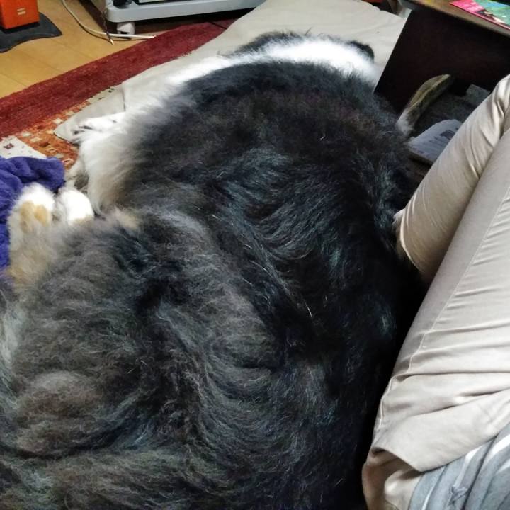 467f1e3c 6932 471e 9181 498c06d537bc 1561984399568