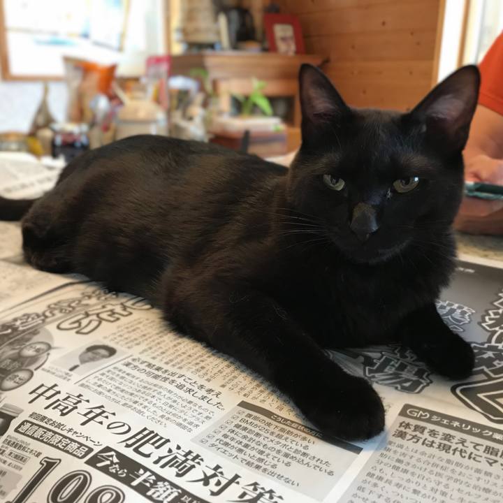 467f28af f31e 40a1 b67b c09eafb23b12 1595458968846