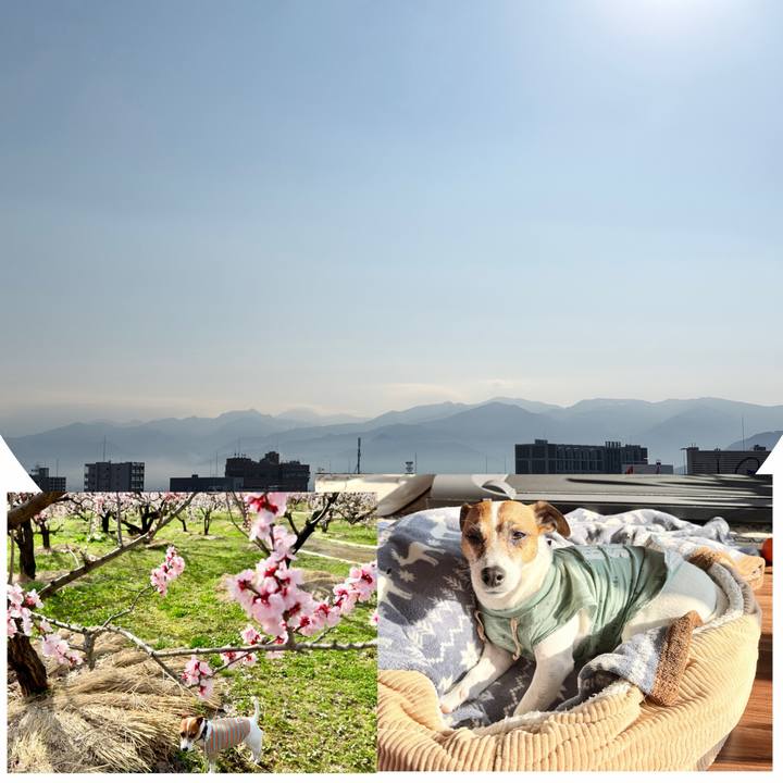 467f7745 524b 4880 9e90 d5ec9d828617 1775170083344