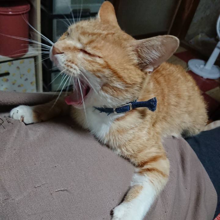 467f7c1c a1ad 420e b051 b8d4f2a224c8 1560637998099