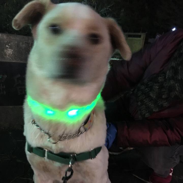 467fc5a8 879b 4147 86b3 73a498afb257 1516790615608