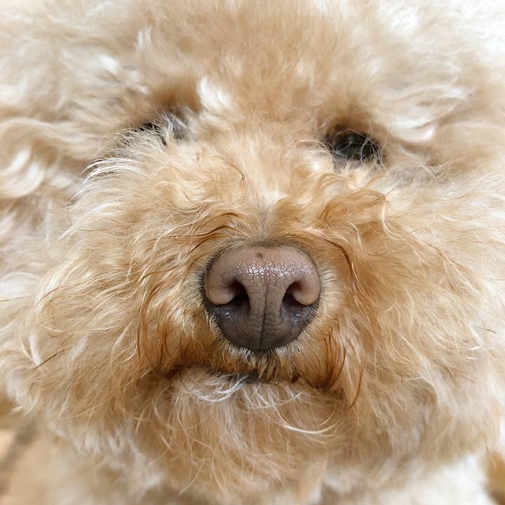 467fd3ce 5313 4b82 8c1a e405ed0b406b 1523417933656