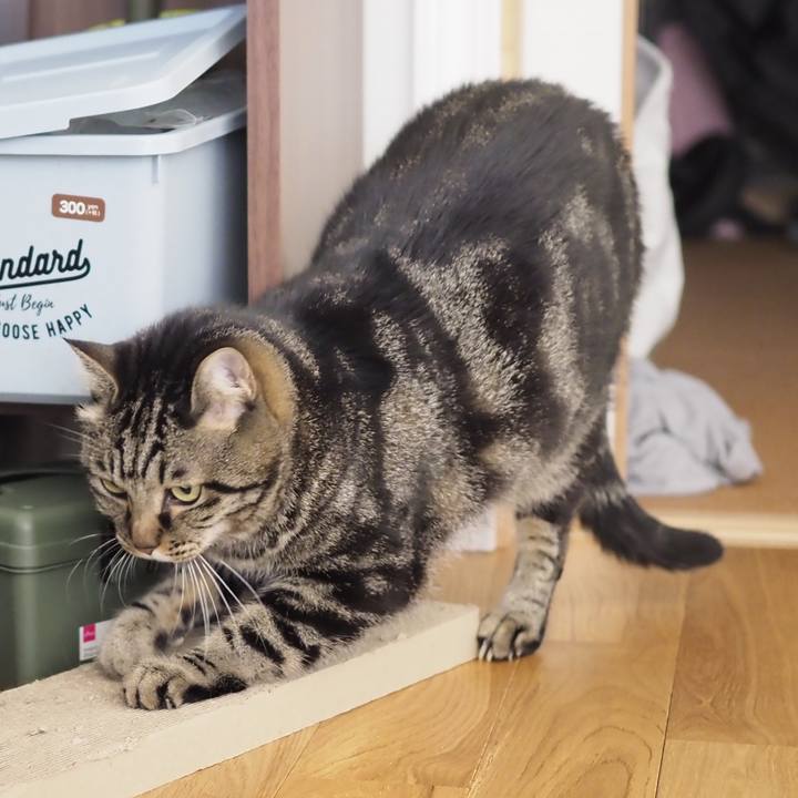 4680003e 5e74 4912 806b bf71c7f944bb 1675775244806