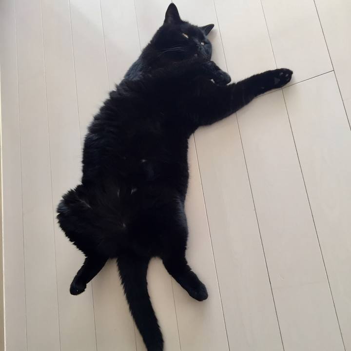 4680004e 84fd 4cb4 ba13 fa0dc01e8c8b 1595475621716