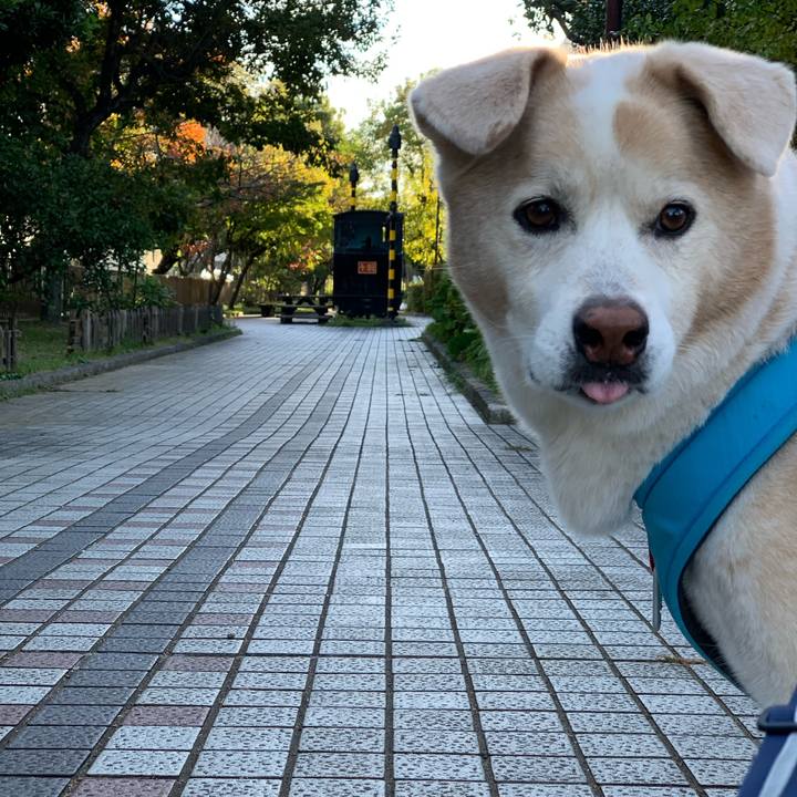 4680552c 5057 4368 ac9b 0118dda46475 1667695080667