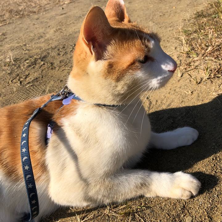 4680b0b8 1559 4e51 b862 178846a4eee6 1543139597256