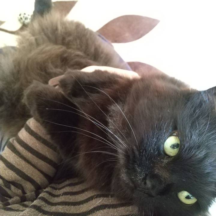 4680d24a 18dd 48fe 8c18 319537bb3267 1589757915283