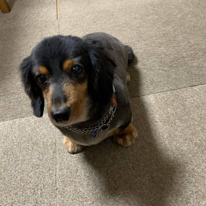 4680e56d 850d 4ff6 8c73 ad3d44fee6ac 1599912081432