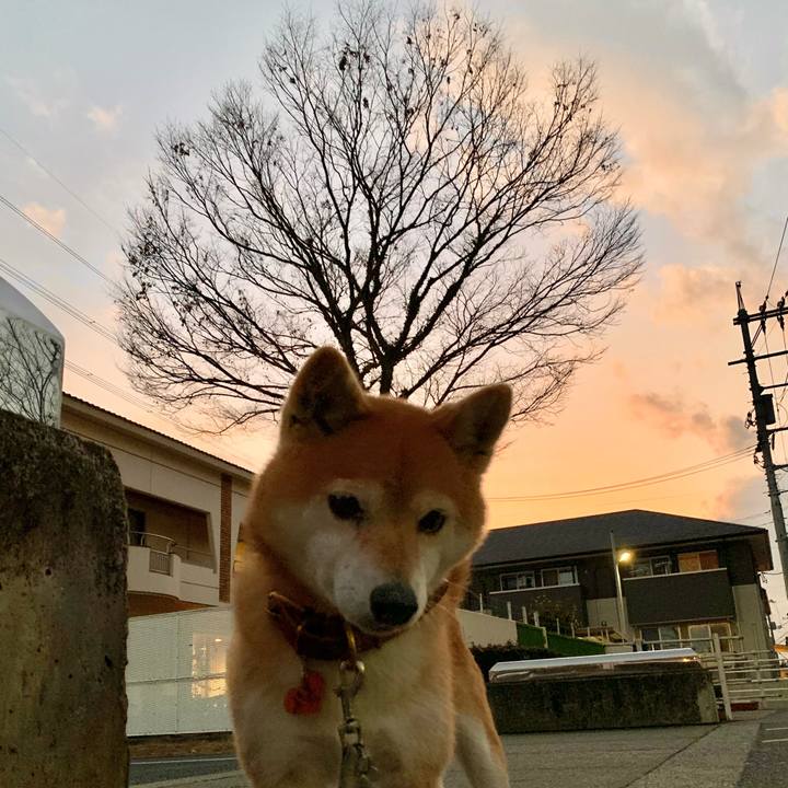 4680e869 6899 4509 928d 82052423d5cf 1608629107521