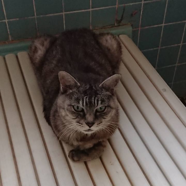 4680e946 331a 41ef b6fd 2630f0020c37 1568409047326