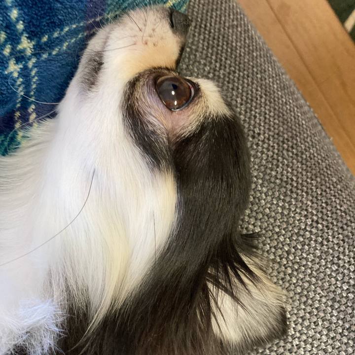 46810e28 28b5 4e6c afee 50d0ffb168a7 1642311184175