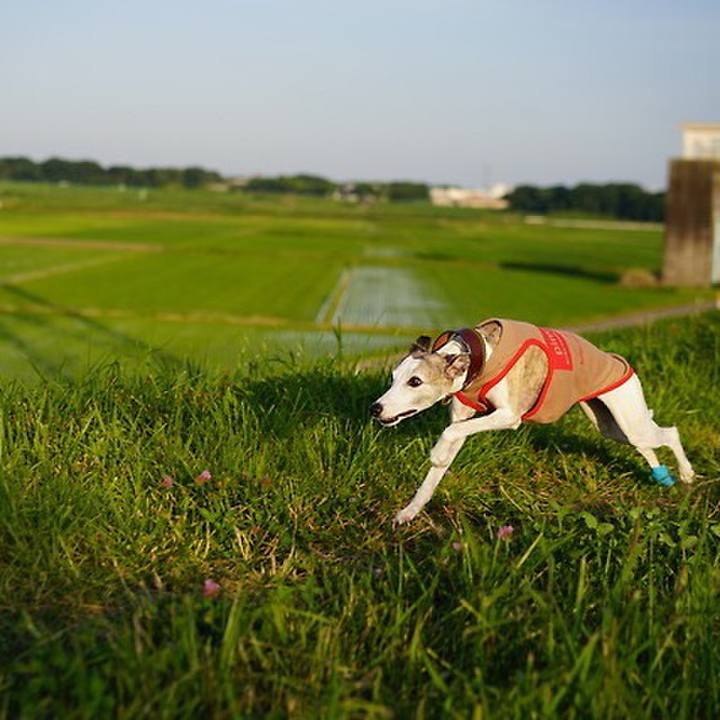 46813203 e7b0 436c bd87 8cfb7b3c938d 1535258983275