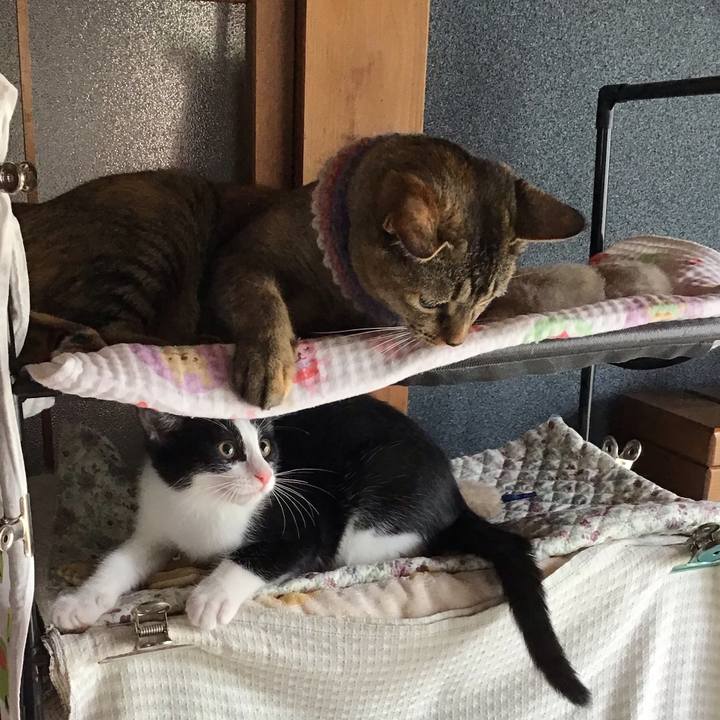 46815afe 61f0 4369 9449 d8eef240e4bf 1626055012839