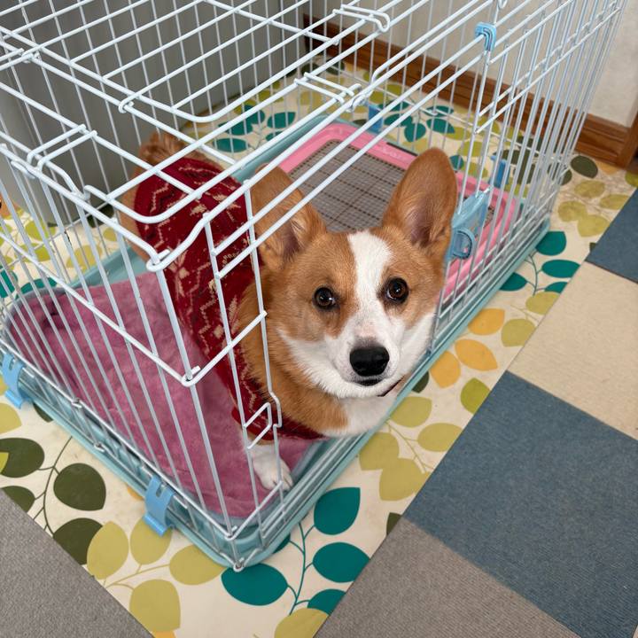 46815bec 8909 4c65 bc2e 7c50484a2e47 1769149234344