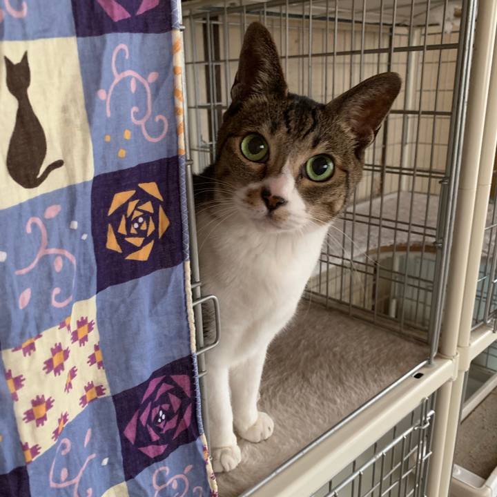 46816377 7d2b 4721 bb29 6f6ed326af57 1552179803698