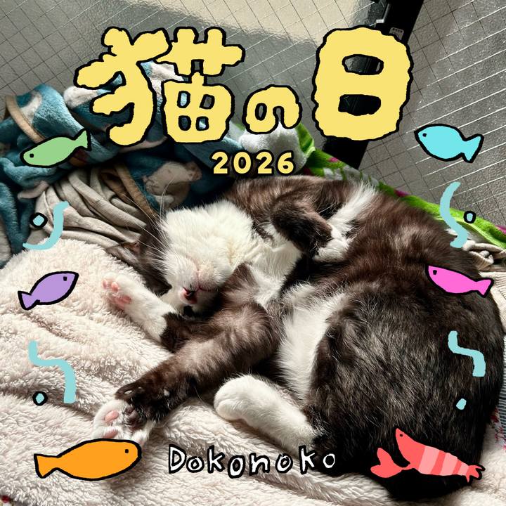 468172dc b5db 49fb b027 99ea73c6c2d6 1771735314967