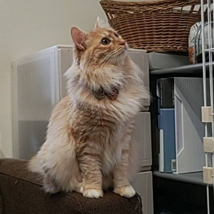 468179eb c949 4bb9 89ea c9d6ea846a42 1655331260936