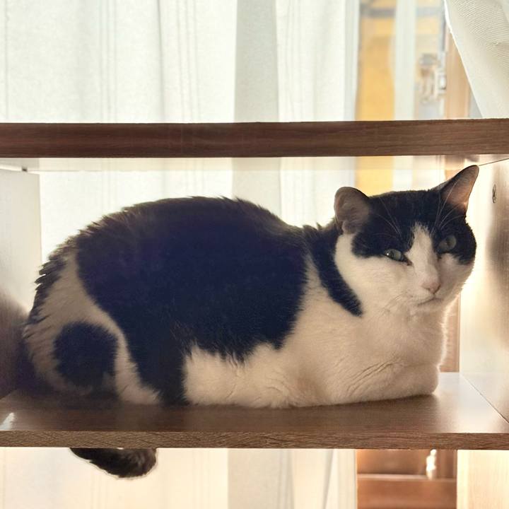 46819e7b eb48 4cd0 851e 18e1a6053f9f 1765073005234