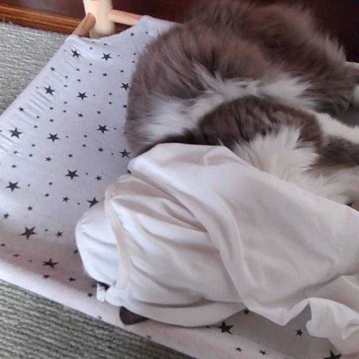 4681a6eb 6277 4125 b38b 6e1353f04a6c 1661064111414