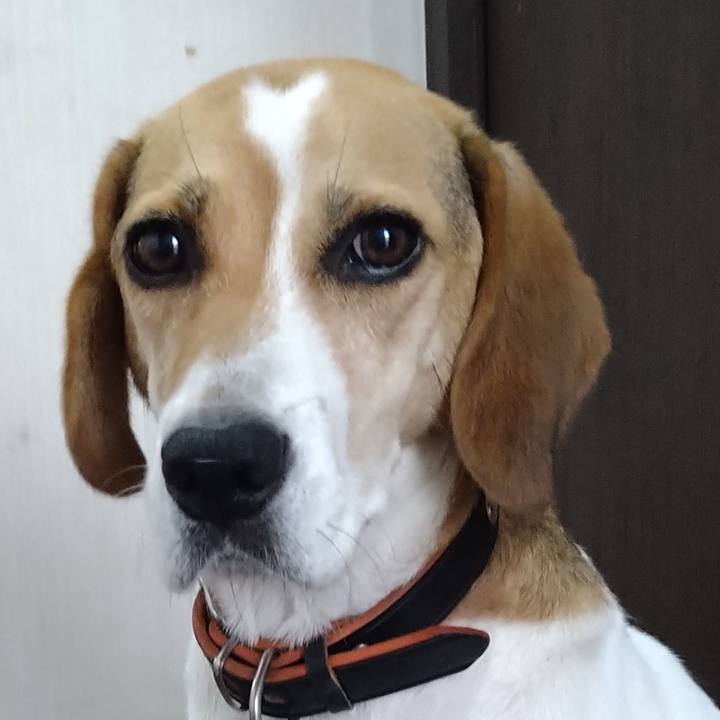 4681af30 09e8 4938 ad91 64bcc6910036 1629022941072